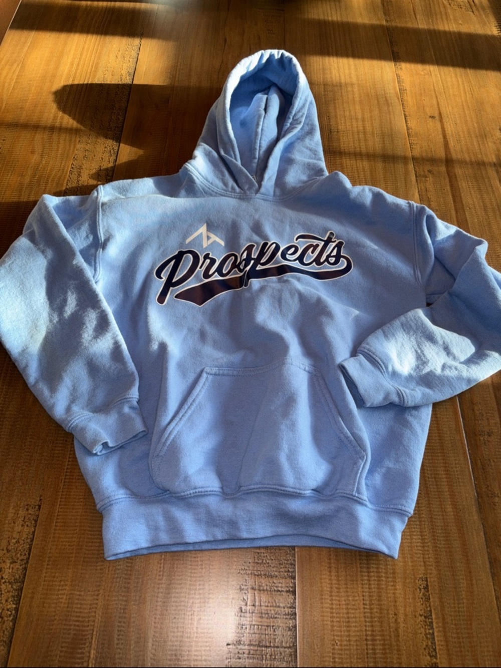 Gildan Light Blue 'Prospects' Pullover Hoodie large youth EUC!
